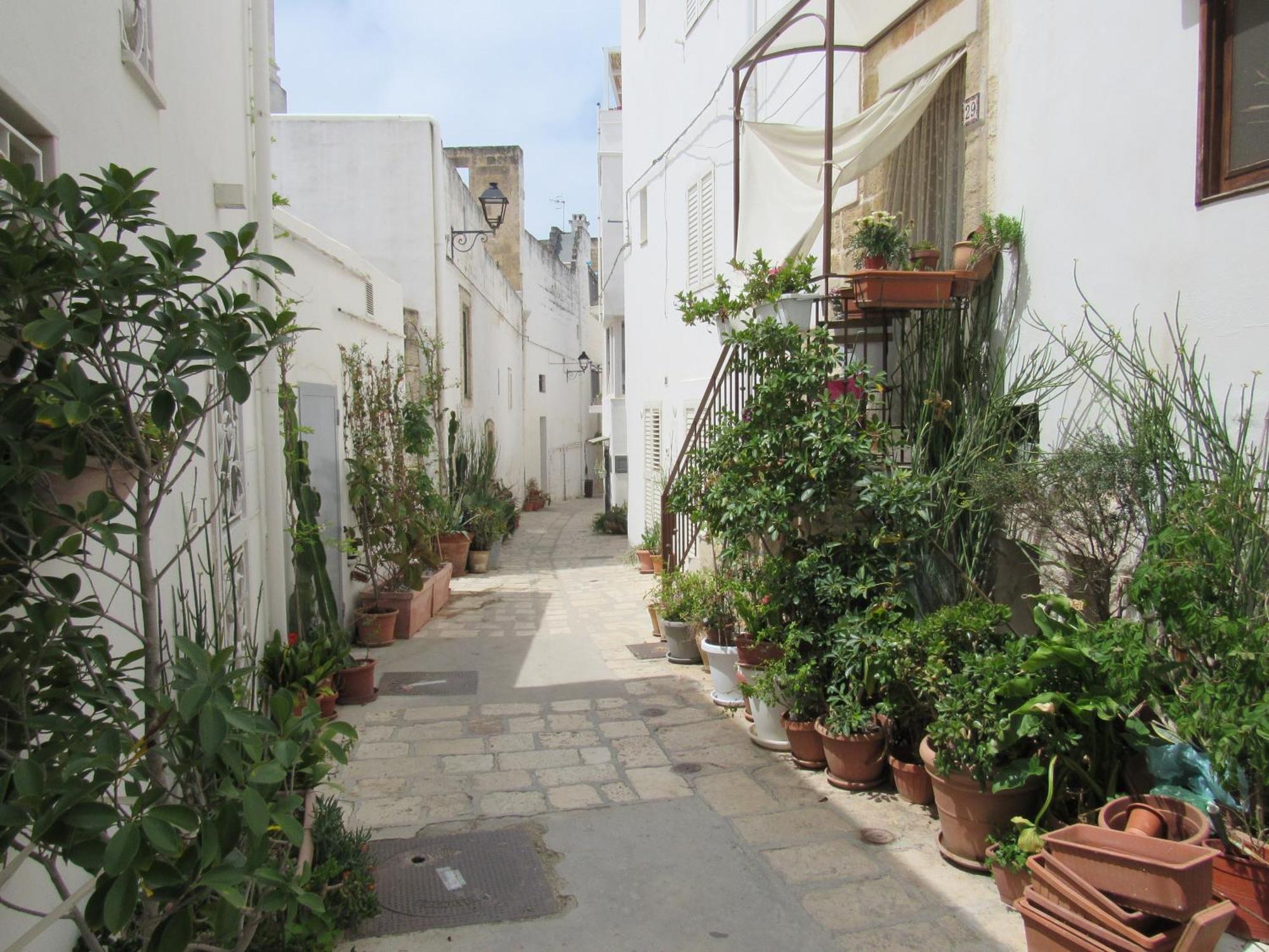 Vicolo Fiorito B&B Polignano a Mare Exteriör bild